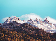 KOK体育平台官方网站-替补奇兵图多列单刀制胜，申花主场0-1遭武汉三镇逆转